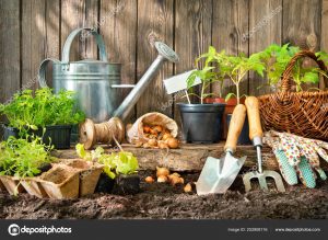 Lire la suite à propos de l’article Les étapes pour bien préparer la terre avant de commencer le jardinage